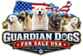 Guardian Dogs for Sale